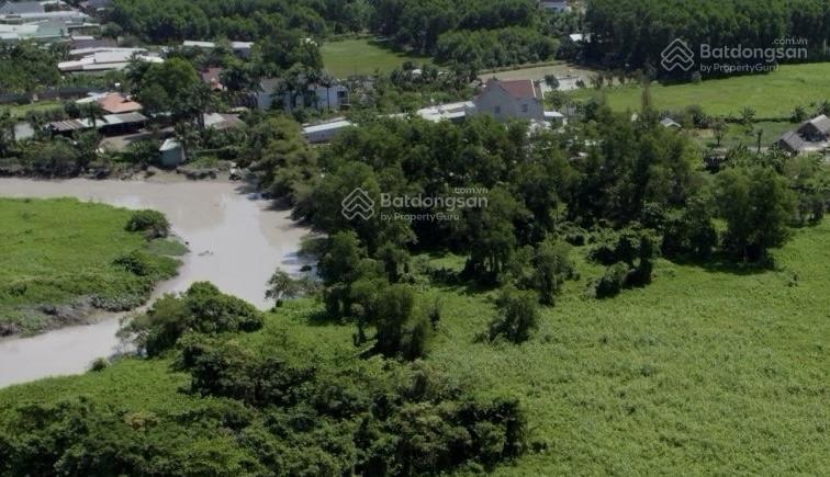 Bán đất cây lâu năm tại phước tân, hơn 20.000m2, hot! bao đẹp, giá 5.5 triệu/m2