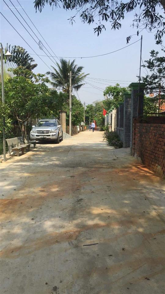 Bán đất cây lâu năm tại phước tân, hơn 20.000m2, hot! bao đẹp, giá 5.5 triệu/m2