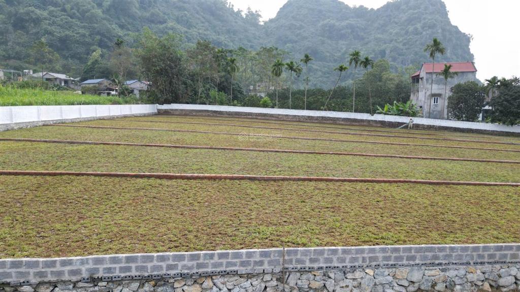 Tìm kiếm không gian sống xanh? 400m2 nghỉ dưỡng lương sơn hòa bình