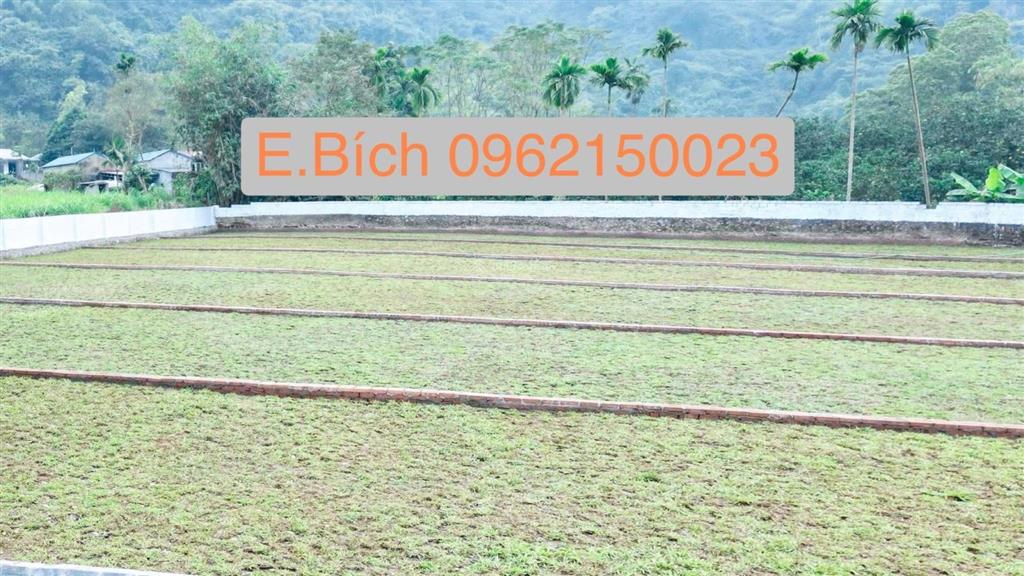 Tìm kiếm không gian sống xanh? 400m2 nghỉ dưỡng lương sơn hòa bình
