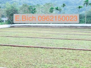 Tìm kiếm không gian sống xanh? 400m2 nghỉ dưỡng lương sơn hòa bình