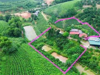 Đoan hùng phú thọ ô tô vào tận nhà 2000m giá chỉ 850 triệu sẵn sổ đỏ công chứng luôn vị trí cực đẹp