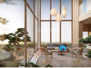 Bán penhouse 350m2 hoàng anh thanh bình, giá 9,98 tỷ