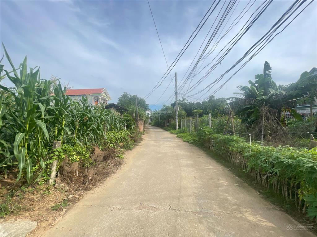 Đầu tư  chính chủ gửi bán lô đất đẹp khu 11 kim đức  việt trì