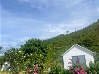 Bán trang trại, khu nghỉ dưỡng tại xã sông cầu, khánh vĩnh, khánh hòa, 4,5 tỷ, 17000m2