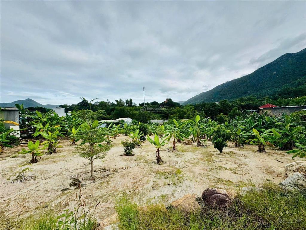Bán lô đất hợp thổ cư tại phước hạ phước đồng nha trang cạnh các khu du lịch
