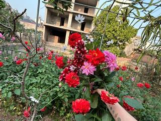 E cần bán căn chính chủ của e ở thanh trì đang xây trên hình. giá 7.xỷ.  e ngay gặp mặt trao