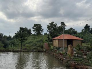 Bán đất rừng sác, 10 tỷ, 50000 m2, giá cực chất