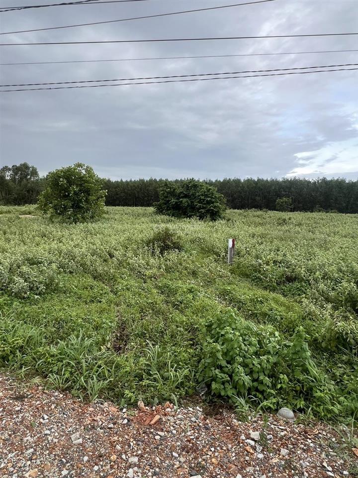 Bán đất mặt tiền đường nhựa lê quang định, gần trường học, gần kcn, gần biển. lô đất tiềm năng pt