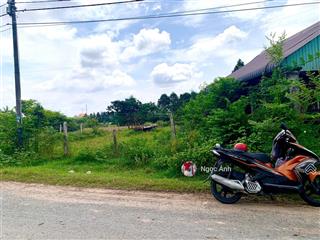 Bán lô đất 500m2 nằm 1 sẹc tỉnh lộ 7 gần chợ phước thạnh củ chi, sổ hồng riêng, giá 1,3 tỷ