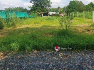 Cần bán lô đất 709m2 ngay xã thạnh đức, gò dầu, sổ riêng, khu dân cư hiện hữu, giá 890tr