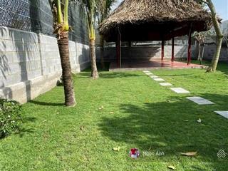 Cần bán nhanh căn nhà vườn 413m2 tại xã tân an hội, củ chi, rộng rãi, thoáng mát, giá 2,3 tỷ