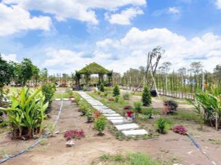 Bán đất nhà vườn có sẵn trên đất diện tích lớn hơn 1050m2 tại gò dầu, tây ninh, sổ riêng, giá 900tr