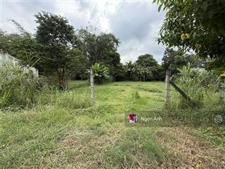 Đất thổ 145m2 đường phú hiệp, xã phú mỹ hưng, củ chi, sổ riêng