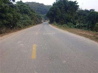 Chính chủ bán đất mặt trục chính 1600m2 đường 446 gần metro 5 và xanh villa giá 20tr/m2 0825 475 ***