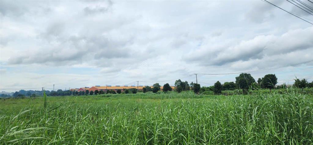 Bán lô đất vị trí đẹp 5000m2 trong kcn đức hòa, long an giá tốt 3,1tr/m2  pháp lý đầy đủ
