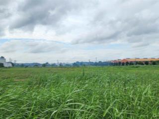 Bán lô đất vị trí đẹp 5000m2 trong kcn đức hòa, long an giá tốt 3,1tr/m2  pháp lý đầy đủ
