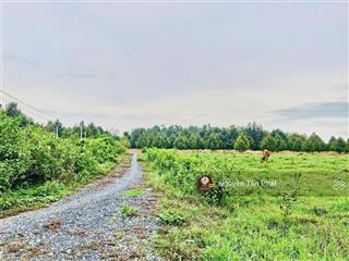 Hơn 1000m2 đường thông. ngay kcn phước đông. 850tr