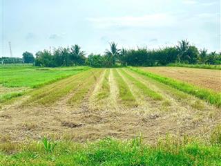 Cần bán lô đất vườn đẹp xã trung lập hạ, củ chi 917m2 giá 1 tỷ 650