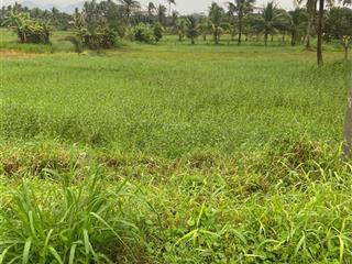 Chính chủ bán đất giá rẻ bắc bình bình thuận 2.100m²