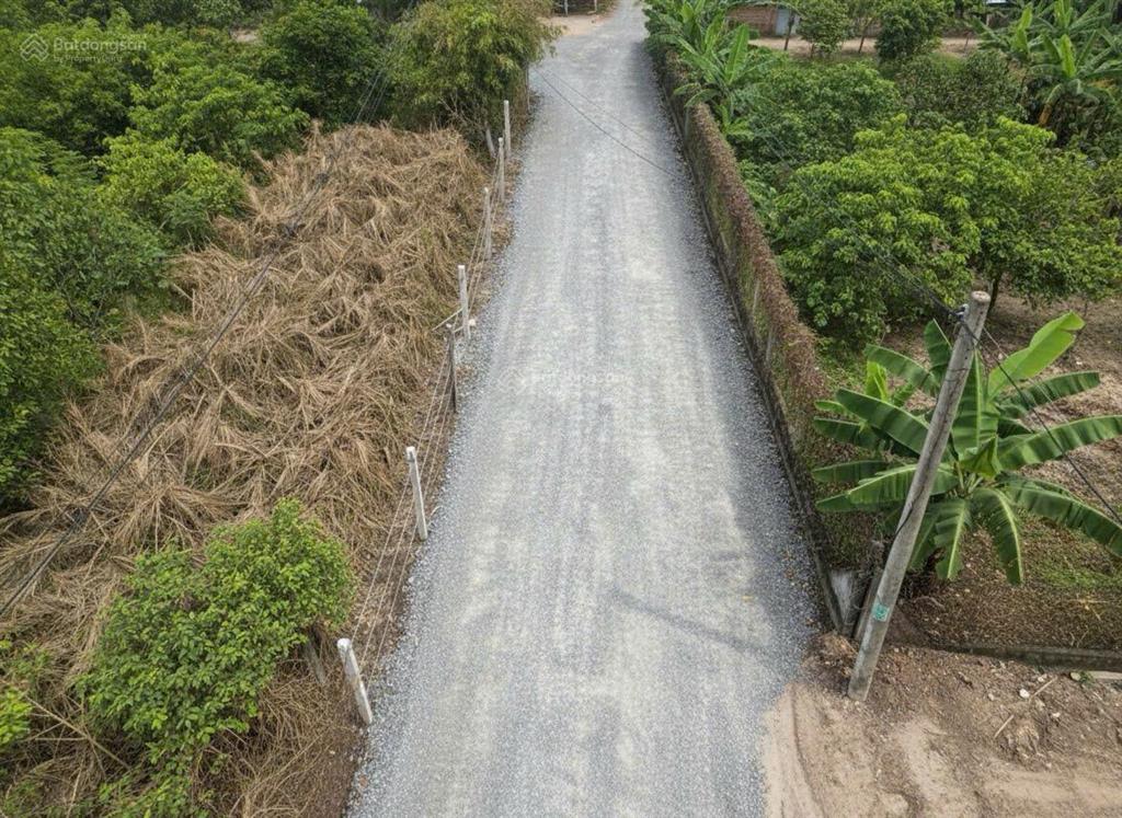 Chỉ 1 tỷ 2  1 nền duy nhất  6 x 26m (156m²) thổ cư hẻm ô tô thông, xe vào tận đất