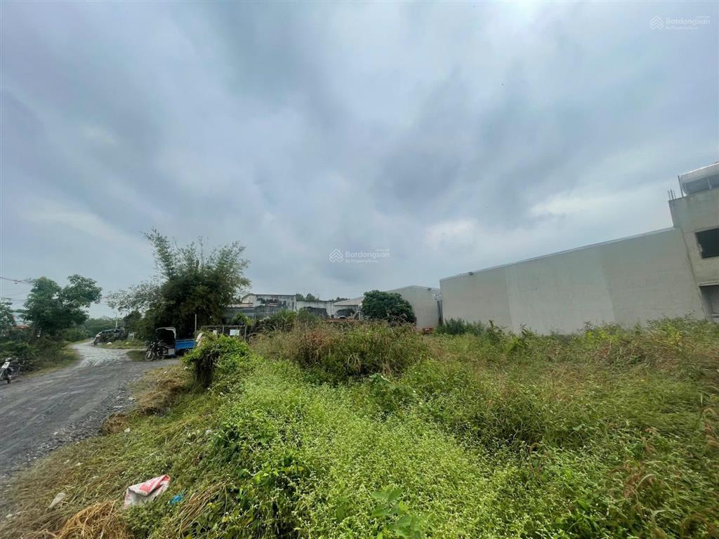 Cần bán gấp nền đất xây trọ 150m2, đường nguyễn thị rành, ngay kcn tây bắc, củ chi, shr