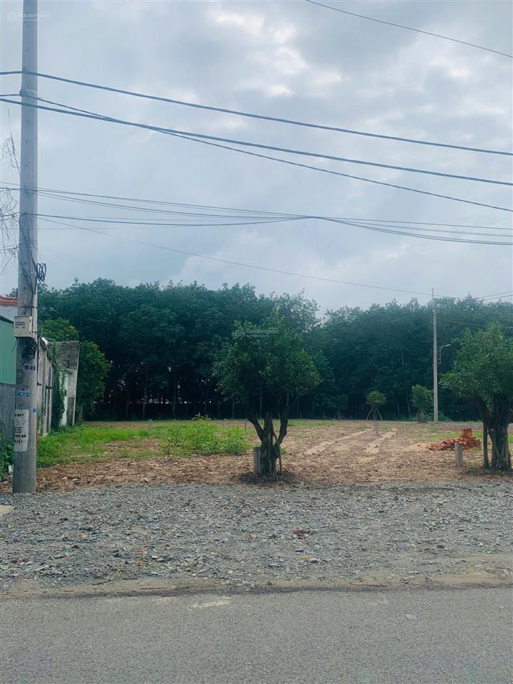 Anh năm có 123m2 đất thổ cư ở phước vĩnh an giá 1 tỷ 4 cách tỉnh lộ 2 500m