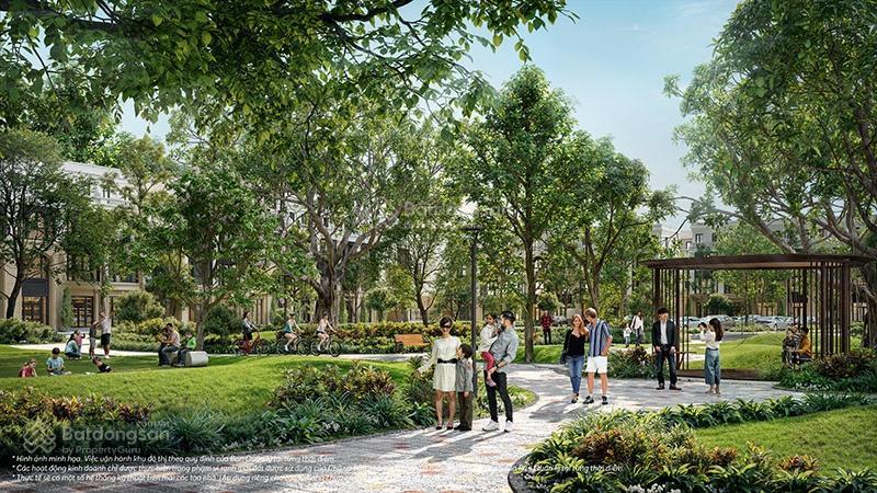 Cơ hội đầu tư shophouse liền kề 4 tầng giá hơn 6 tỷ, vốn chỉ cần hơn 1 tỷ dương kinhhải phòng