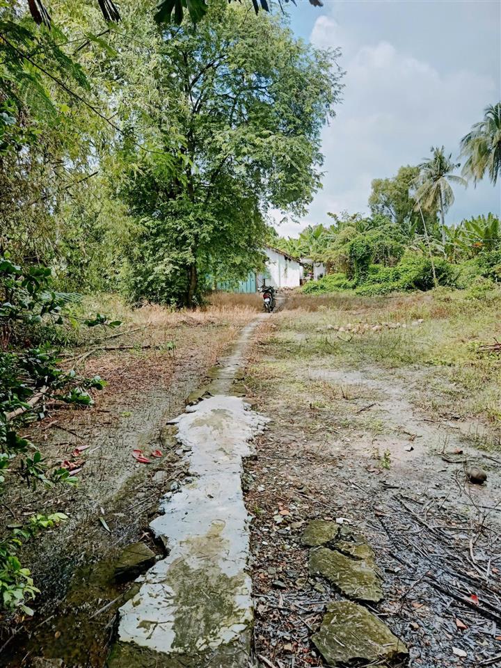 Bán đất tại đường huyện lộ 25c, chợ gạo, tiền giang, 1 triệu / m2, 6283 m2  hàng hiếm uy tín