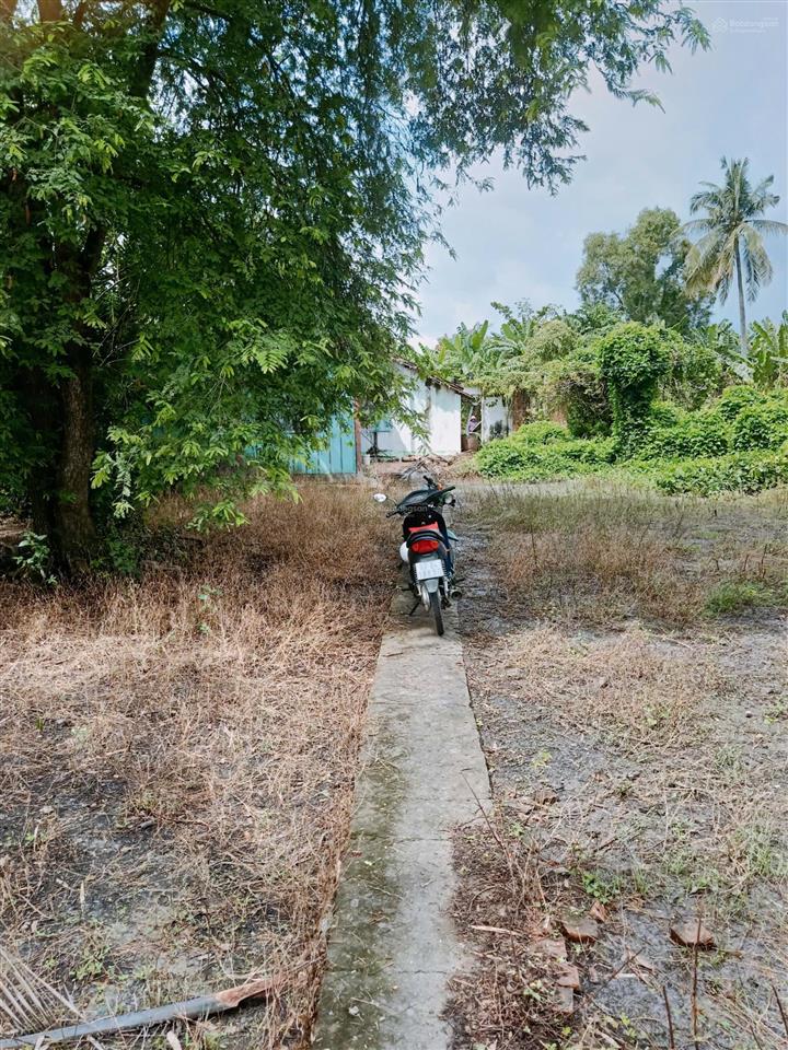 Bán đất tại đường huyện lộ 25c, chợ gạo, tiền giang, 1 triệu / m2, 6283 m2  hàng hiếm uy tín