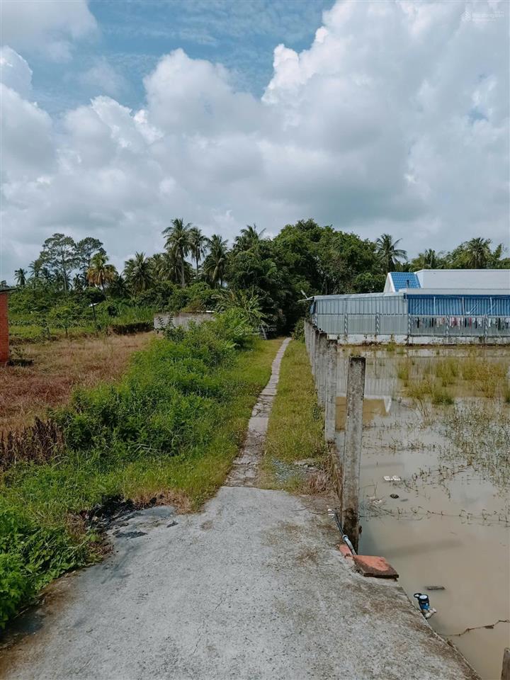 Bán đất tại đường huyện lộ 25c, chợ gạo, tiền giang, 1 triệu / m2, 6283 m2  hàng hiếm uy tín