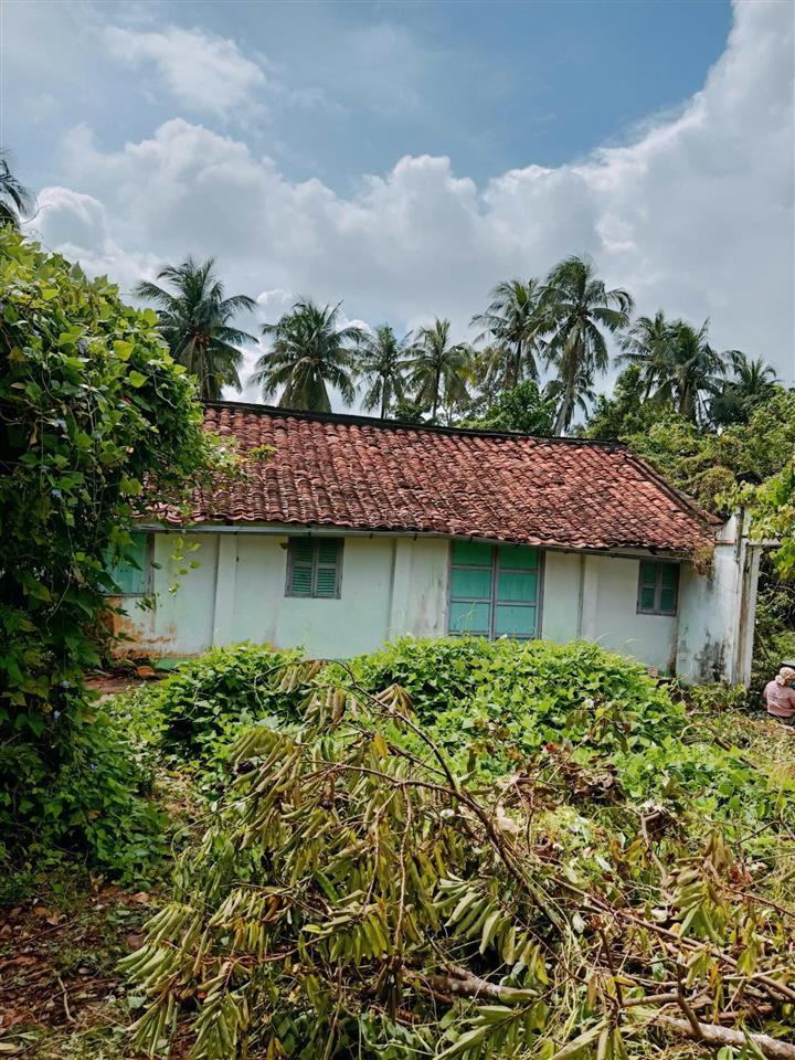 Bán đất tại đường huyện lộ 25c, chợ gạo, tiền giang, 1 triệu / m2, 6283 m2  hàng hiếm uy tín