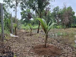 Đất vườn đường thích thiện hòa, lê minh xuân, bình chánh, 2.65 tỷ (bớt lộc)