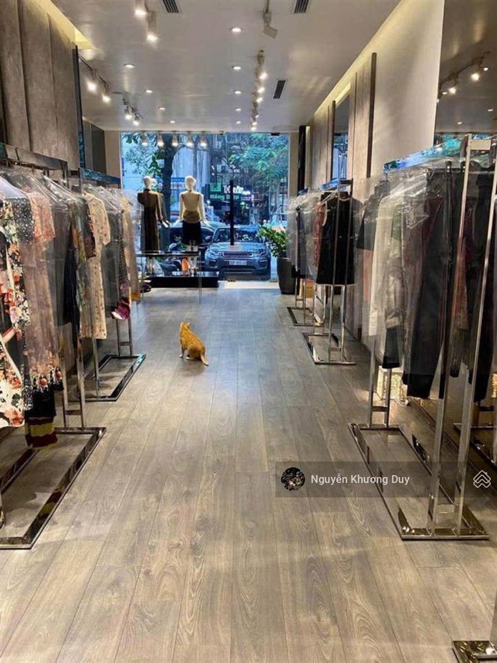 Siêu phẩm mặt phố víp 3 mặt thoáng 6 tầng thang máy kinh doanh đỉnh cao