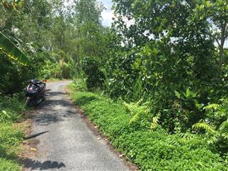 Đất full thổ cư kdl đương đại cầu kinh thầy cai, nhơn phú 290m2