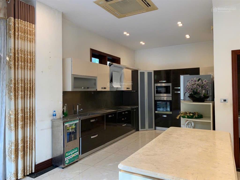 Cho thuê bt đẹp xuất sắc 4pn, 4vs, 450m2 tại vinhomes riverside, long biên, 50 triệu