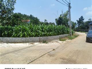 Chính chủ bán gấp đất mặt tiền 16m, 169m2 tại đồng chằm, đông xuân, quốc oai, hà nội, 4,2 tỷ