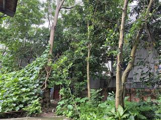 Bán đất đẹp mậu lâm, khai quang, vĩnh yên.