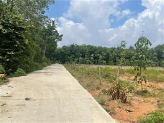 Bán gần 2 mẫu đất chánh phú hòa bến cát bd