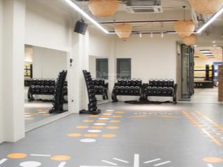 Siêu phẩm mt gò vấp  giá chỉ 40 tỷ  dt 221m2, 9 tầng, có hầm, thang máy  dòng tiền 200tr/tháng