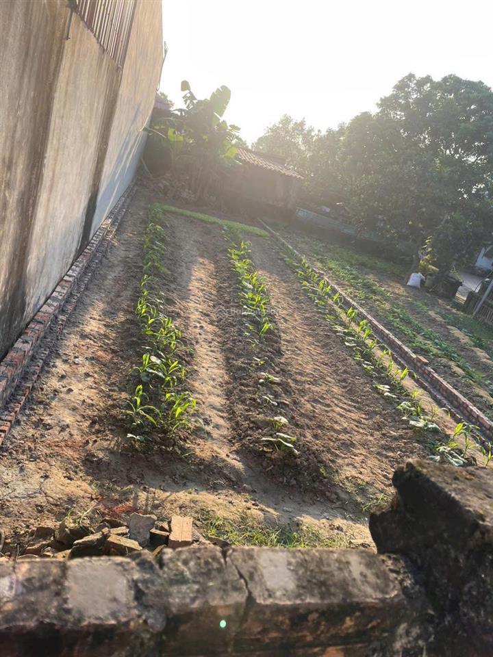 Bán đất tại đông xuân, 29 triệu / m2, 100 m2, pháp lý đầy đủ