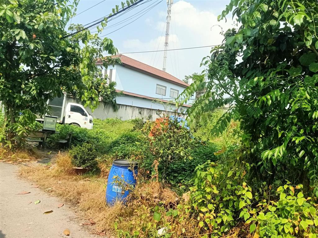 Thửa đất 1170m2 , bán 16 tỷ , bình mỹ củ chi hcm city