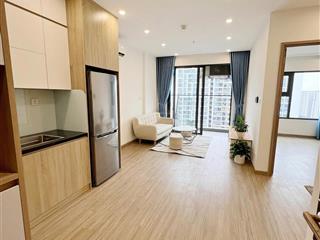 Bán căn hộ 2pn smart city chỉ 4,5 tỷ  55m2  full nội thất cao cấp