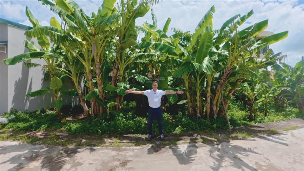 Bán mảnh đất cực hiếm mặt tiền 15.7m, diện tích 88.5m2, chỉ 1.8 tỷ tại trung tâm thị trấn đông hưng