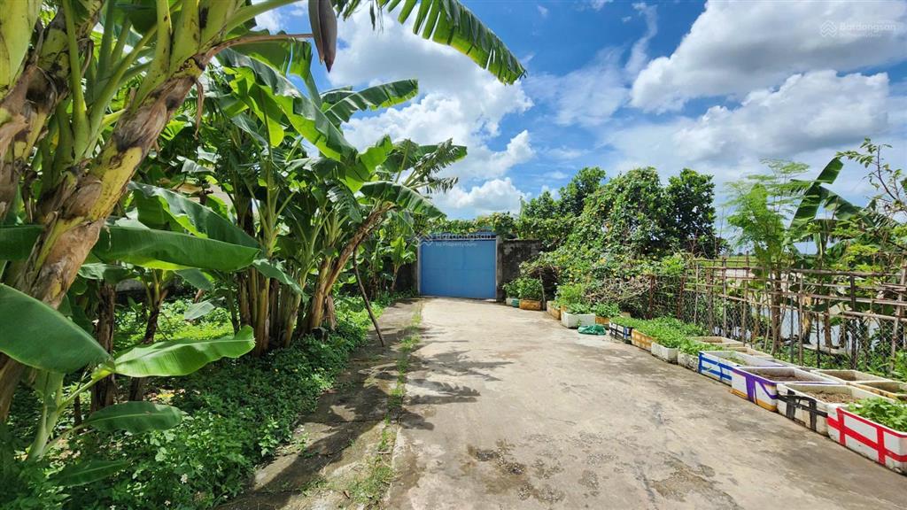 Bán mảnh đất cực hiếm mặt tiền 15.7m, diện tích 88.5m2, chỉ 1.8 tỷ tại trung tâm thị trấn đông hưng