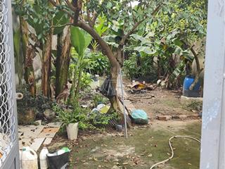 Mặt tiền đường huỳnh thị nở, q cái răng tp cần thơ dt 132m2 full thổ cư 5x26