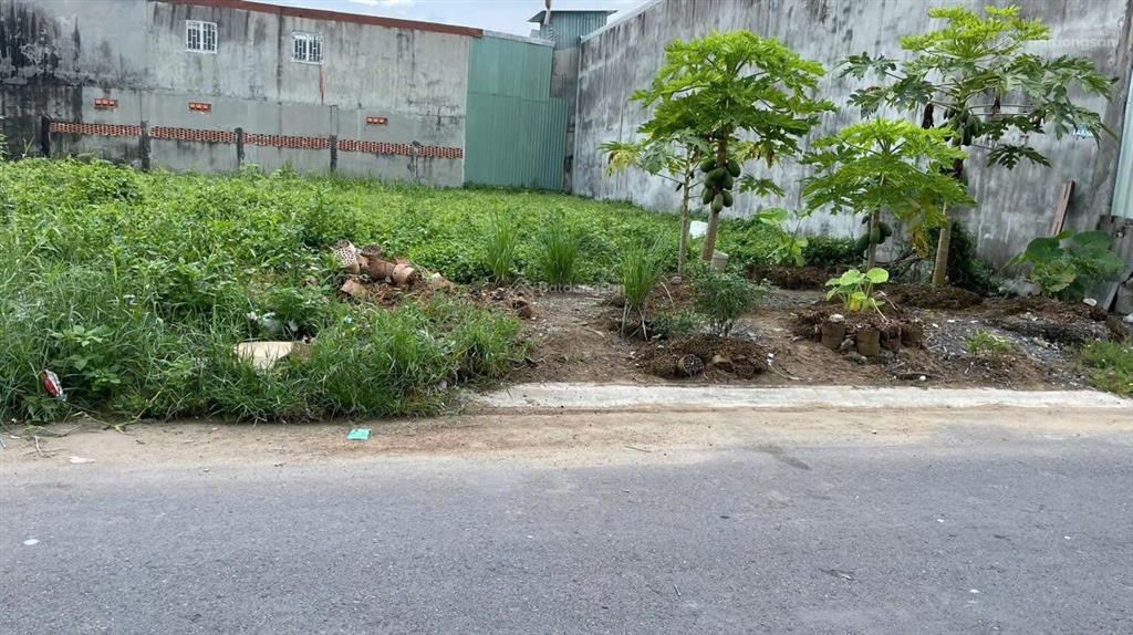 Hàng hiếm 1 sẹc đại lộ long an xã hựu thạnh long angiá 1ty7dt 125m2 shr sang tên ngay