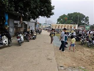 Chính chủ cần bán 128.3m2 tại cố thổ, hoà sơn, lương sơn, hoà bình