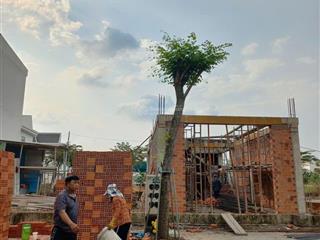 Bán đất nền mặt tiền đường trần đại nghĩa bến cát bình dương