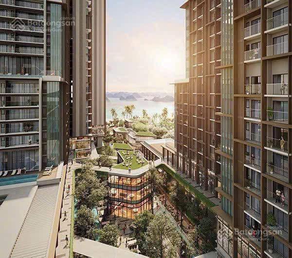 Giá chính thức căn hộ 5 sao mặt biển hạ long aria bay đang khiến thị trường bất ngờ! chỉ từ 2,2tỷ
